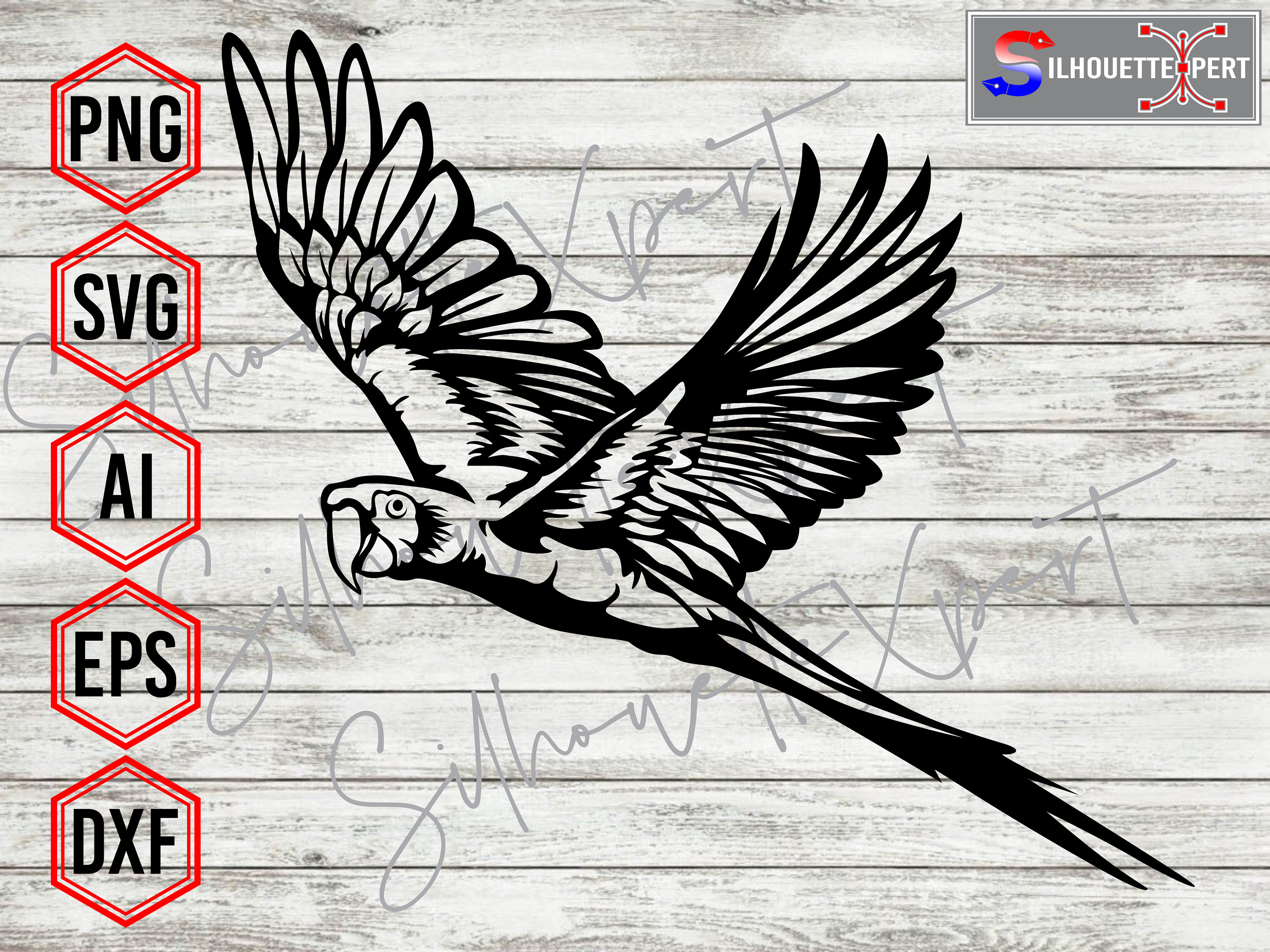 Gratis stockfoto van Kea-papegaai in Nieuw-Zeeland | FreeImages, image size:3000x2250