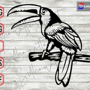 Tucano svg, Tropical svg, Arte tucano - Clipart, Silhueta, Cricut, CNC, Laser, Cortador de vinil, Adesivo decalque, Arquivo de camiseta.