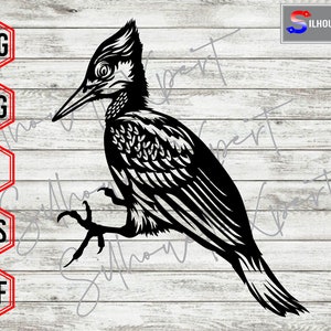 Woodpecker svg, Woodpecker Bird svg, Bird svg - Vector, Clipart, Cricut, CNC, Vinyl Cutter, Decal Sticker, T-Shirt File.