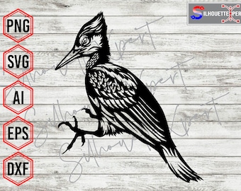 Woodpecker svg, Woodpecker Bird svg, Bird svg - Vector, Clipart, Cricut, CNC, Vinyl Cutter, Decal Sticker, T-Shirt File.