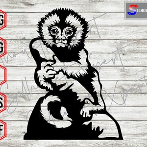 Marmoset in the Hand, Pygmy Marmoset svg, Monkey svg,  Animal svg - Clipart, Cricut, CNC, Vinyl Cutter, Decal Sticker, T-Shirt File.
