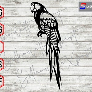 Adorable Parrot svg, Bird Portrait svg, Pet svg, Macaw svg - Silhouette, Cricut, CNC, Laser, Vinyl Cutter, Decal Sticker, T-Shirt File.