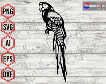 Adorable Parrot svg, Bird Portrait svg, Pet svg, Macaw svg - Silhouette, Cricut, CNC, Laser, Vinyl Cutter, Decal Sticker, T-Shirt File.