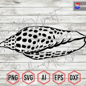 Seashell Silhouette #9, Sea Creatures svg, Seashell svg, Ocean svg - Clipart, Cricut, CNC, Laser, Decal Sticker, T-Shirt File