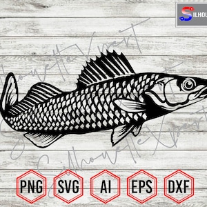 Blue Walleye silhouette, Walleye svg, Fishing svg - Vector, Clipart, Cricut, CNC, Laser, Vinyl Cutter, Decal Sticker, T-Shirt File.