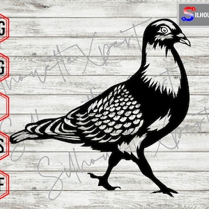 Walking Pigeon svg, Pigeon svg, Pigeon Vector - Clipart, Silhouette, Cricut, CNC, Laser, Vinyl Cutter, Decal Sticker, T-Shirt File.