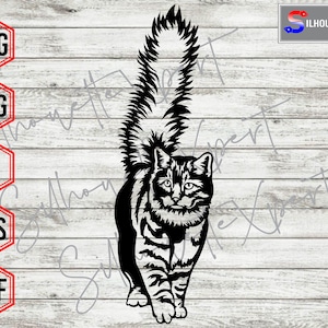 Standing Cat svg, Walking Cat svg, Pet svg, Kitty svg - Vector, Clipart, Cricut, CNC, Laser, Vinyl Cutter, Decal Sticker, T-Shirt File.