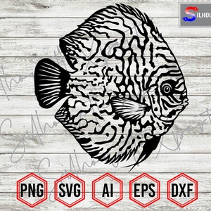 Discus Fish Silhouette, Discus svg, Aquarium Fish svg - Clipart, Vector, Cricut, CNC, Laser, Vinyl Cutter, Decal Sticker, T-Shirt File.