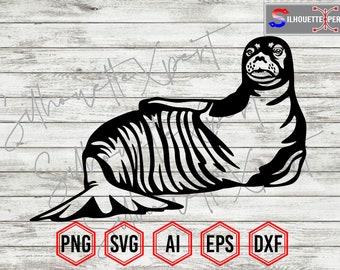 Seal Silhouette Vector, Sea Lion Clipart, Cricut, CNC, Vinyl Cut File