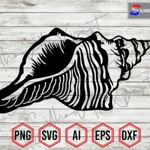 Seashell Silhouette #6, Seashell svg, Summer svg, Ocean svg, Beach svg - Clipart, Vector, Cricut, CNC, Laser, Decal Sticker, T-Shirt File.