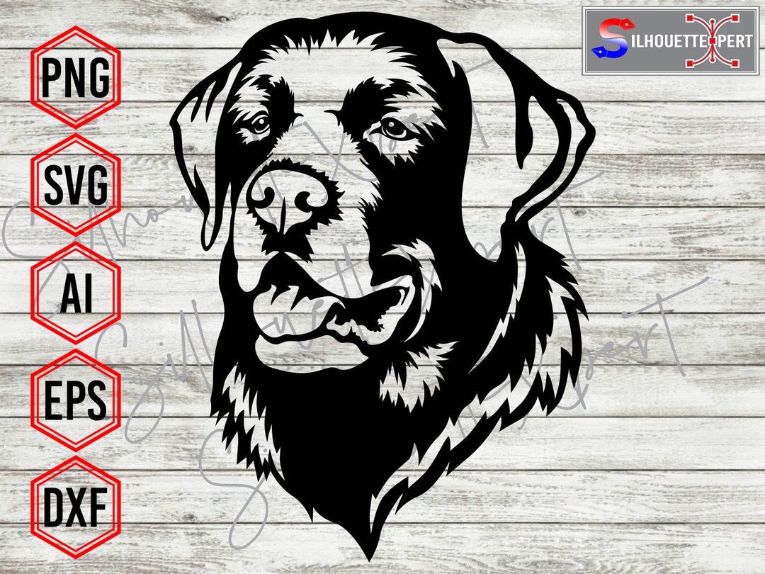 Labrador Dog Svg, Labrador Svg, Animal Svg, Dog Svg, Pet Svg Cricut ...