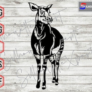 Front view Standing Okapi svg, Okapi svg, Horse svg, Animal svg - Clipart, Cricut, CNC, Vinyl Cutter, Decal Sticker, T-Shirt File.