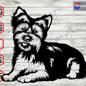 Yorkshire svg, Adorable Dog svg, Pet svg, Puppies svg, Dog svg - Cricut, CNC, Laser, Vinyl Cutter, Decal Sticker, T-Shirt File.