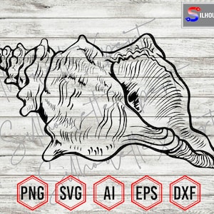 Seashell Silhouette #1, Seashell svg, Sea Shell svg, Beach svg - Clipart, Silhouette, Cricut, CNC, Laser, Decal Sticker, T-Shirt File.
