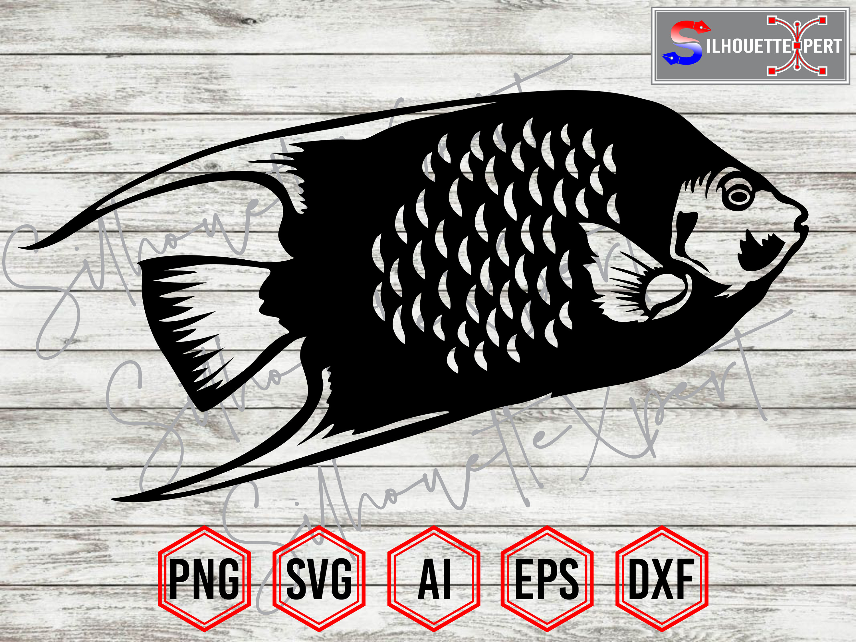 Queen Angel Fish svg Aquarium Fish svg Fish svg Clipart - Etsy México