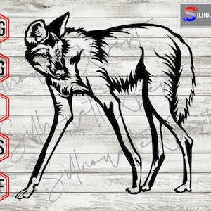 May include: Black and white silhouette of a wolf standing with its legs spread apart. The wolf has a long snout and a bushy tail.