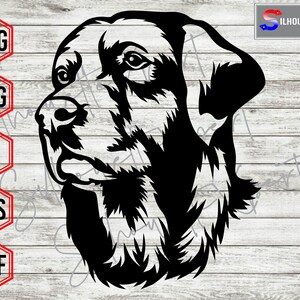 Golden Retriever svg, Dog Head svg, Animal svg,  Dog svg, Retriever svg - Cricut, CNC, Laser, Vinyl Cutter, Decal Sticker, T-Shirt File.