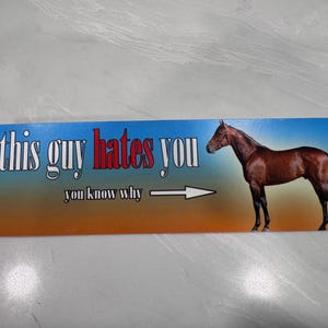 this guy hates you Horse Bumper Sticker: Glossy Vinyl Magnetic Decal