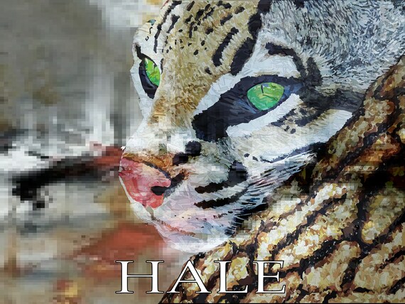 Central American Ocelot Native American Art Paintings Wall - Etsy