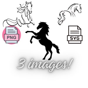 Pacchetto cavallo SVG/PNG: Cavallo in formato SVG, Download digitale Cavallo in formato SVG, Amo i cavalli in formato SVG, Bellissimo cavallo in formato Svg, Testa di cavallo in formato SVG, Sagome di cavallo