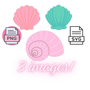 Paquete SVG de concha marina, paquete PNG de concha marina, imágenes prediseñadas de concha marina, archivos de corte SVG de concha marina para Cricut, silueta de concha marina, mundo marino svg, concha svg