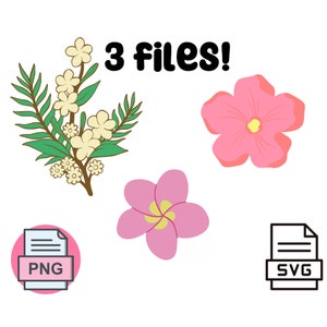 Plumeria SVG en PNG bundel - Set van 3 bloemenafbeeldingen voor doe-het-zelf ambachten, Cricut en silhouetprojecten - tropische bloem clipart