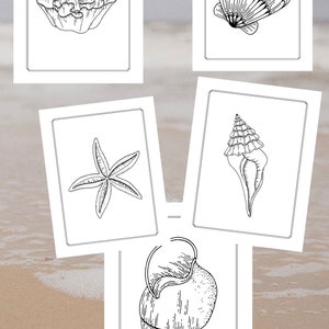 40 Sea Shells Coloring Pages for Teens and Adults:40 printable minimalist design pages,PDF + PNG Digital Book (with cover), Instant Download