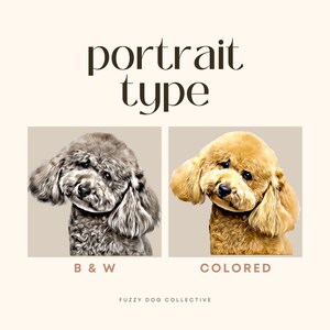 May include: Two images of a dog, one in black and white and one in color. The dog is a poodle with its head tilted to the side. The text "B & W" is below the black and white image and the text "COLORED" is below the color image. The text "FUZZY DOG COLLECTIVE" is below the images.
