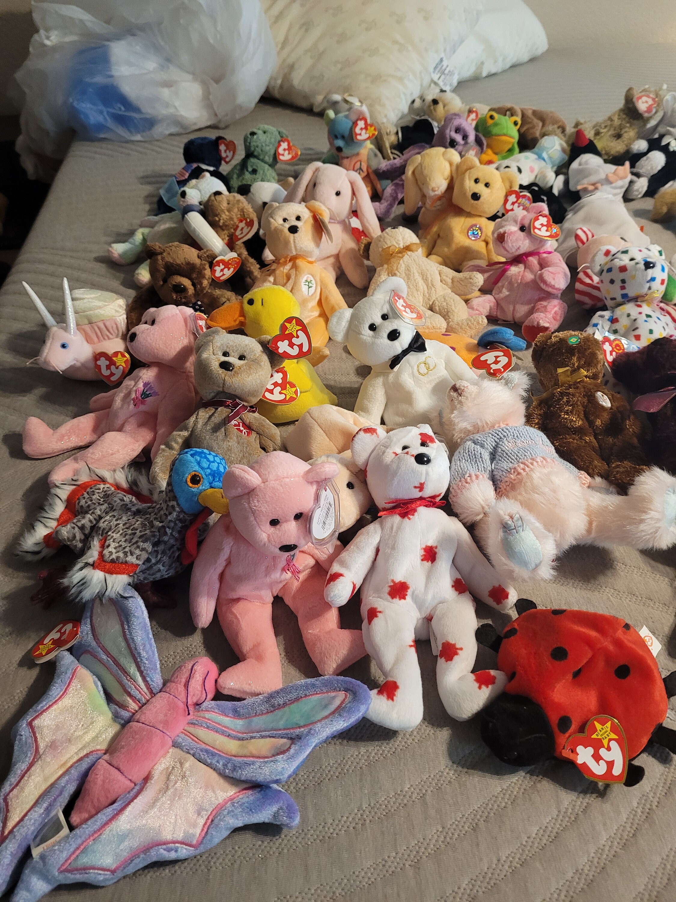 RARE and 100 BEANIE Babies Etsy