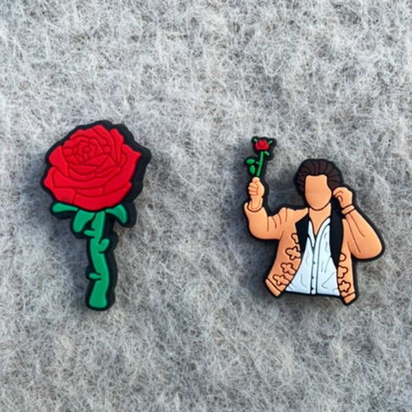 Harry Styles Crocs Etsy Canada