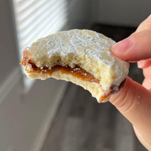 May include: A partially eaten alfajor cookie held in a hand. The cookie has a white, powdered sugar coating and a caramel filling. The cookie is round and has a bite taken out of it, revealing the layers of the treat.