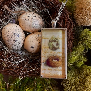 Bird nest necklace, bird nest and eggs, bird pendant, nature inspired jewelry