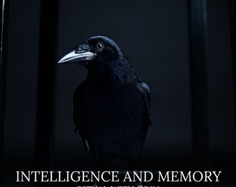 Intelligence