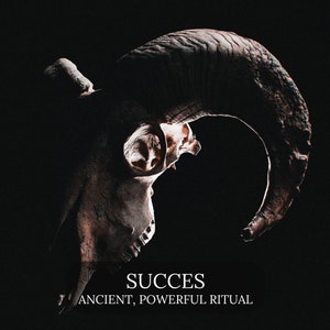 SUCCES