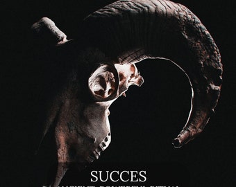 SUCCES