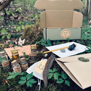 Pode incluir: Uma caixa de cartão marrom com um rótulo branco que diz "The Wild Forest" está aberta e cercada por pequenos frascos de vidro cheios de ervas e especiarias. Há uma pequena bolsa branca com o texto "Juniper Berries" e um envelope marrom com um selo de cera.
