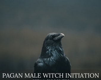Pagan Male Viking Witch