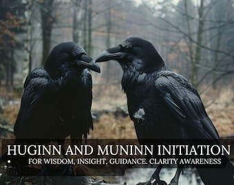Huginn and Muninn Initiation Ancient Norse Viking Witchcraft