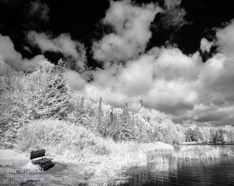 At the Lake in Infrared Scenic Fine Art Print Wall Art