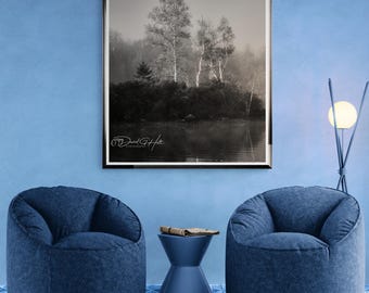 Misty Forest Birch Trees on Adirondack Lake Shore Black White Print