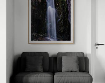 Vertical Forest Waterfall Fine Art Photo
