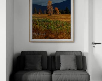 Golden Autumn Tree in Field before Dark Mountains