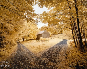 Through the Oak Trees Magical Landscape to the Mysterious Barn III Color Infrared Photography New England