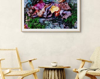 Colorful Autumn Leaves on Mossy Rock Wall Art
