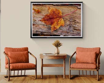 Vibrant Orange Autumn Maple Leaf Nature Print
