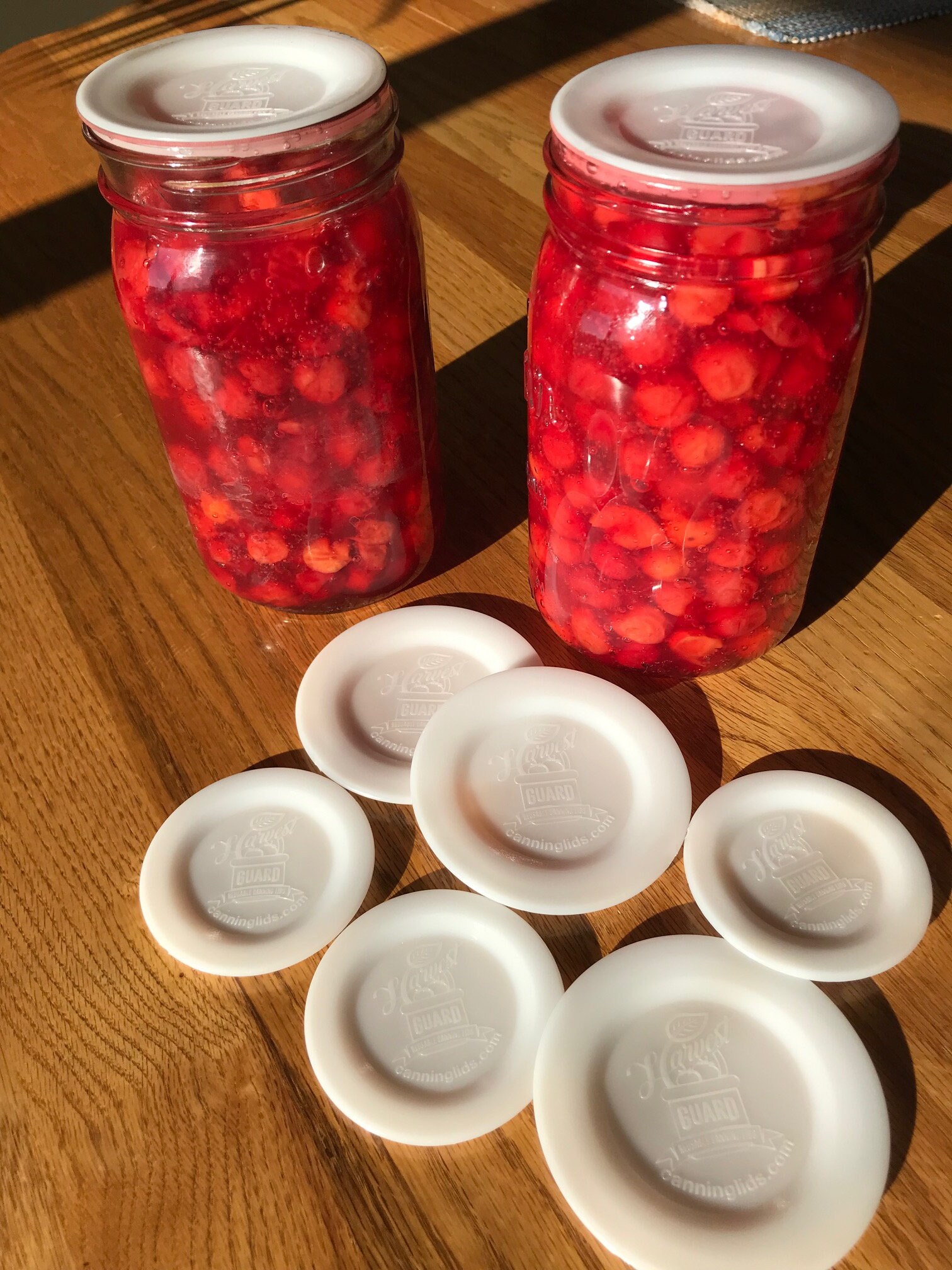 50 Regular Reusable Lids and Gaskets Etsy