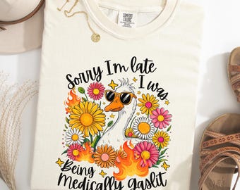 May include: Cream-colored t-shirt with a graphic of a goose wearing sunglasses, surrounded by flowers and flames. Text reads "Sorry I'm late I was Being Medically gaslit."