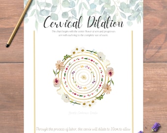 Dilation chart, cervical dilation, flower cervix dilation, doula tool, midwife tool, printable