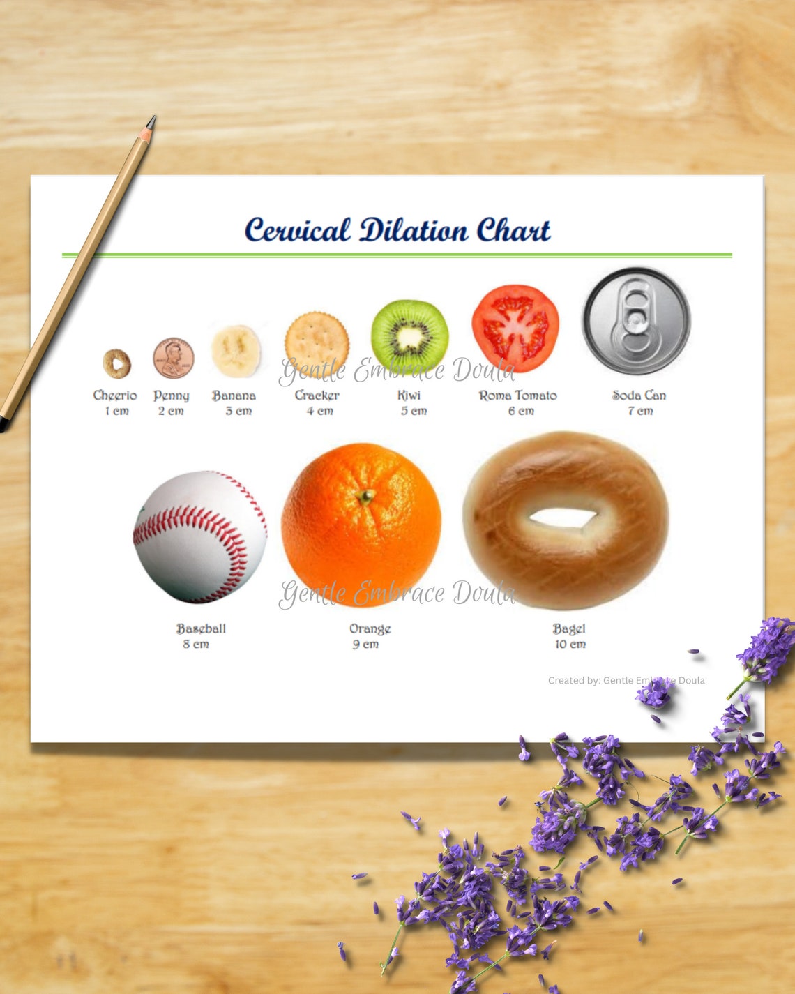 Cervical Dilation Chart Cervix Chart Doula Midwife Etsy New Zealand