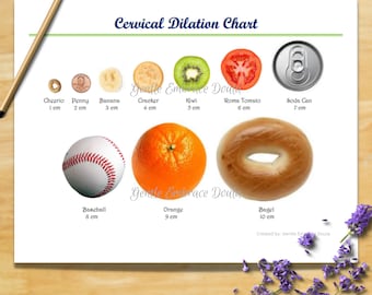 Cervical Dilation Chart, Cervix Chart, Doula, Midwife, Printable